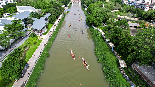 龙岗“龙舟+”多元新场景火爆“出圈”