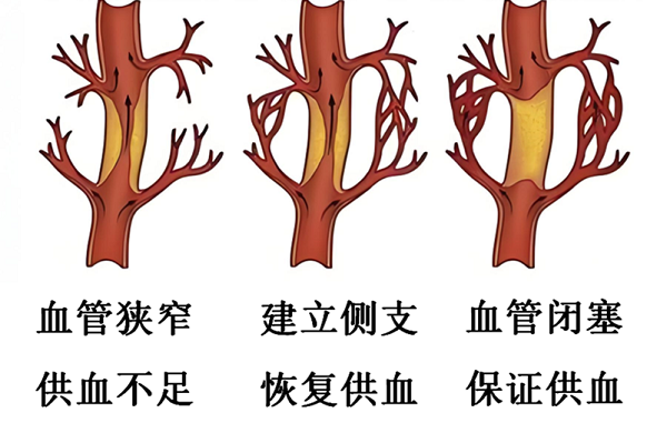 圖片4.png