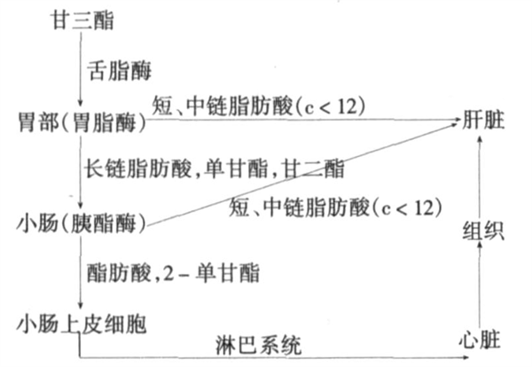 图片21.png